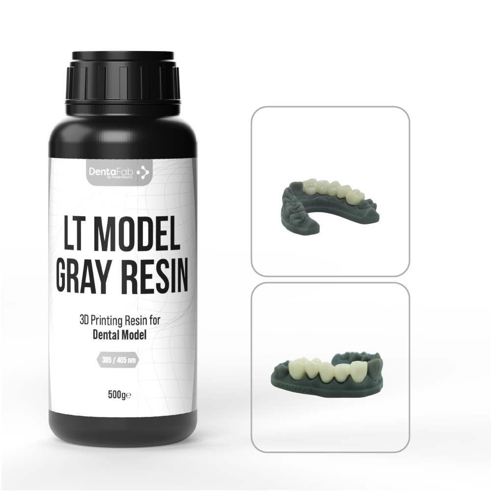 LT MODEL GRAY RESIN
