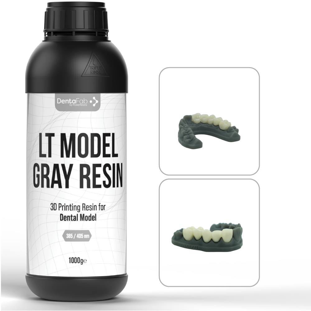 LT MODEL GRAY RESIN