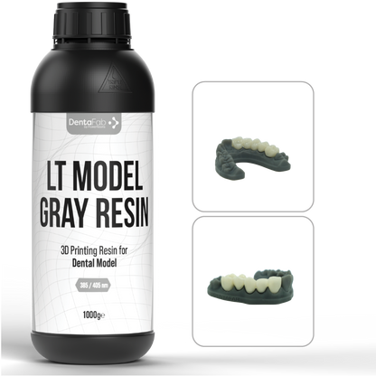 LT MODEL GRAY RESIN