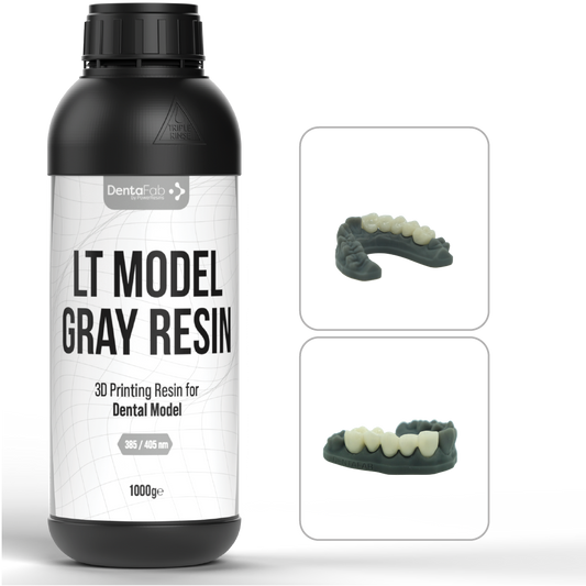 LT MODEL GRAY RESIN